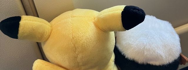 あんみーさんの壁紙画像