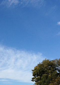 私立バカレア高校〜最強ヤンキー高校の紅一点～