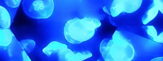 梅雨が苦手さんの壁紙画像