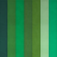 柚さんのアイコン画像