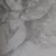 o_sznさんのアイコン画像
