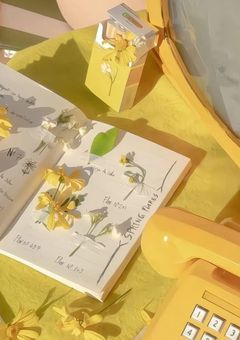 𝗙𝗨𝗥 / 恋 の き ゅ ー ぴ っ と 希 望 し ま す .ᐟ.ᐟ