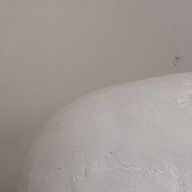 motiさんのアイコン画像