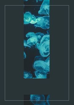 こけの雑談部屋🍊