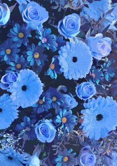 幼なじみカイ潔