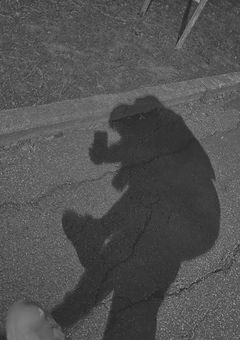 やまとくん専属彼女 | 𝘐𝘯𝘴𝘵𝘢𝘨𝘳𝘢𝘮