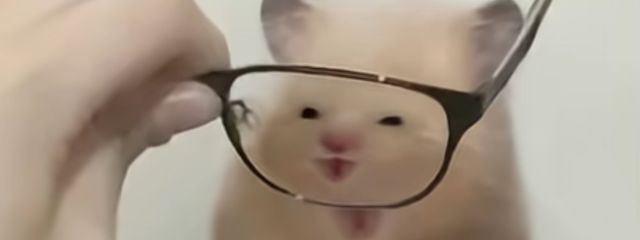 ayaka🖤🫧🩶さんの壁紙画像