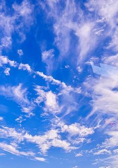 転生 、不死身 、保護 … とりあえず頑張ります  。 #nj3j