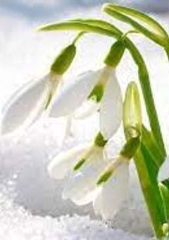 この恋に終止符を