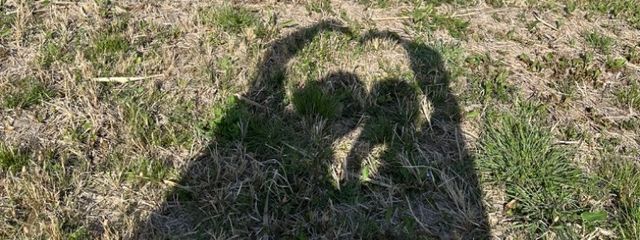 るるうさんの壁紙画像