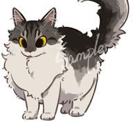 フォローバックしちゃうさんのアイコン画像