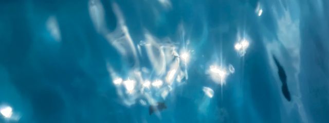 ちぇりーさんの壁紙画像