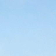 さめ〜·.⟡·̩͙ さんのアイコン画像