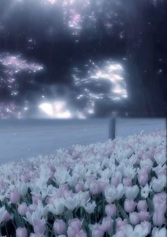 【必読】これからについて