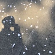 へちさんのアイコン画像