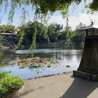 九尾の狐さんのアイコン画像