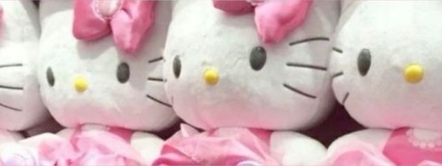 りぼんちゃん  フォロバ100さんの壁紙画像