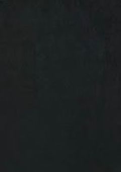 今後の活動について