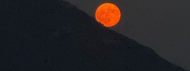 空(低浮上ですが更新する努力はします!)さんの壁紙画像