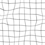 セラ。さんのアイコン画像