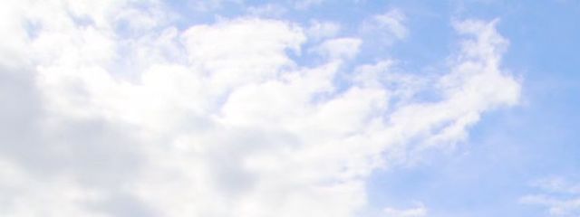 Rokokoさんの壁紙画像