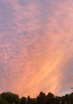 私はみんなのママになる！！