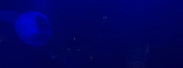 miさんの壁紙画像