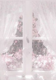 ：     真 愛 教      ‎.
