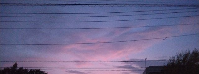 マスクだお☆さんの壁紙画像