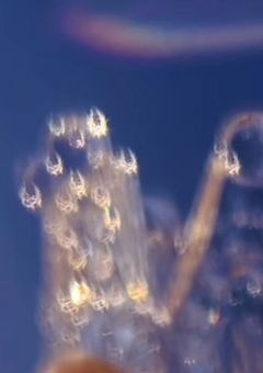 嘘だろ、、異世界に迷い込んじゃったぁ〜？！