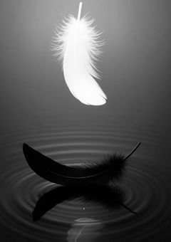 天使が舞い降りし世界は……