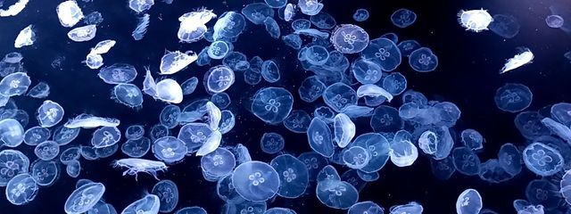 天野瑠璃羽☆新アカウントです💎💫💙フォロバします！さんの壁紙画像