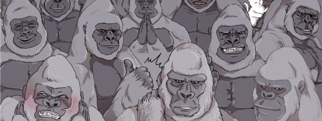 蓮見🌱さんの壁紙画像