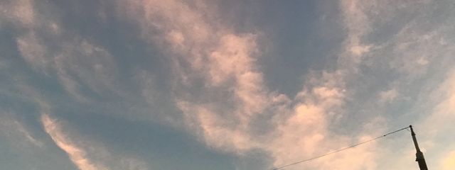 そこらの猫好き フォロバ率100%さんの壁紙画像