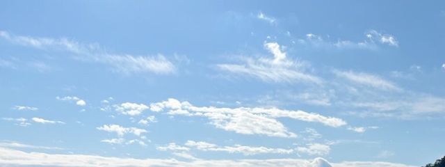 翠 /midoriさんの壁紙画像