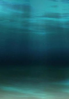 何かが足らない俺/私達の＿＿＿