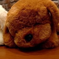 もちちゃん@アル組/🥣️️✒️🎶さんのアイコン画像