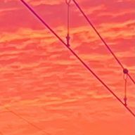 りんじんさんのアイコン画像