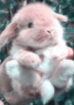 らんにあまあまなみんな