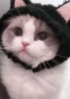 内藤ないこ、女の子拾いました！？