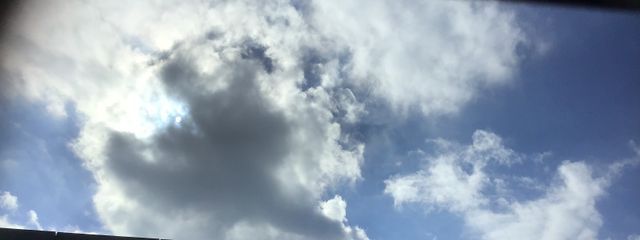 木花咲耶(コノハナサクヤ)さんの壁紙画像