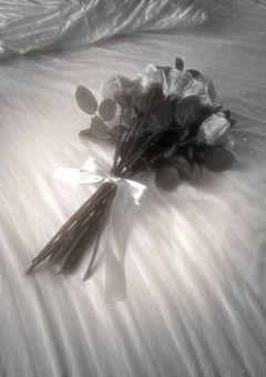 　𝑭 𝒍 𝒐 𝒔 .