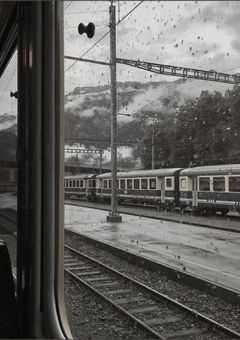 　激弱最年長　。