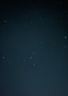 不良兄妹はランク最上位の実力者