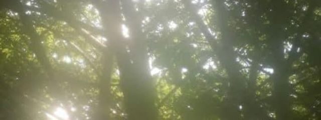 まゆち 🍀* ゚さんの壁紙画像