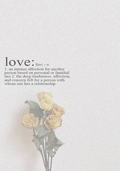 色とりどりの花