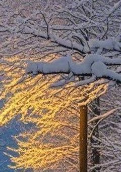 上司は天然です