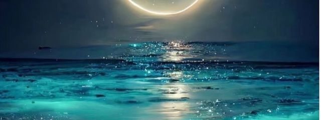 　ゆなさんの壁紙画像