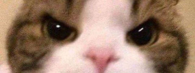 まっきーさんの壁紙画像