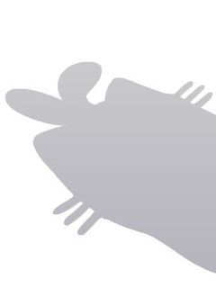 𝚝𝚊𝚕𝚔 𝚛𝚘𝚘𝚖